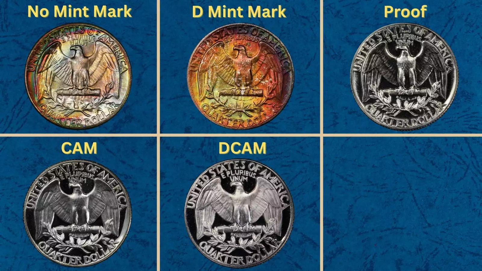 Group of 1955 Washington quarters showing various grades from worn to uncirculated, with Denver Mint in background
